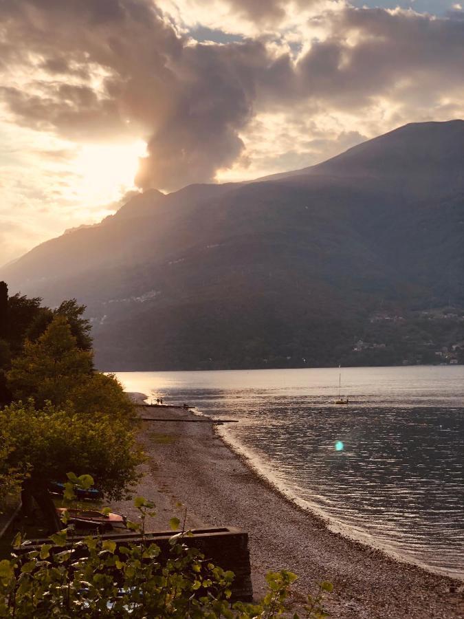 Cottage Il Cigno Con Accesso Al Lago - Como Lake ديرفيو المظهر الخارجي الصورة
